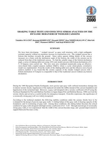 Más sobre Pruebas en Mesa Vibratoria y Análisis de Estrés Efectivo sobre el Comportamiento Dinámico de Cajones en Cuña